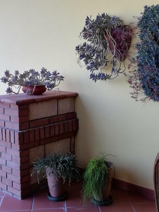 Il Melograno Bed and Breakfast Calitri Exteriör bild